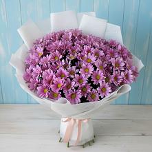 Букет цветов из:  Хризантемы в Залесово