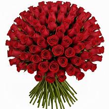 Букет Красные розы Чери Лав в Залесово